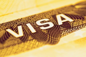 American Visa (XL)