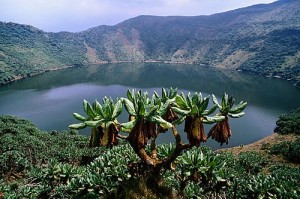 ruanda