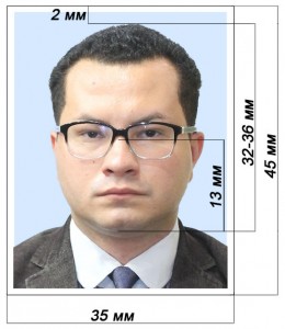 шенген__виза__голуб