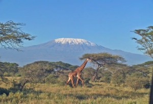1388936773_kenia