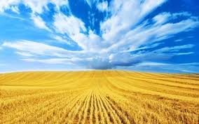 Ukraina s vizami