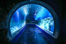 Okeanarium izrail