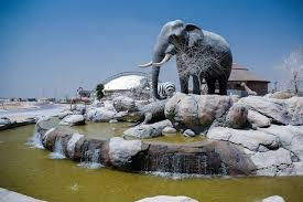 Safari Dubai
