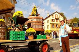 Vin fest